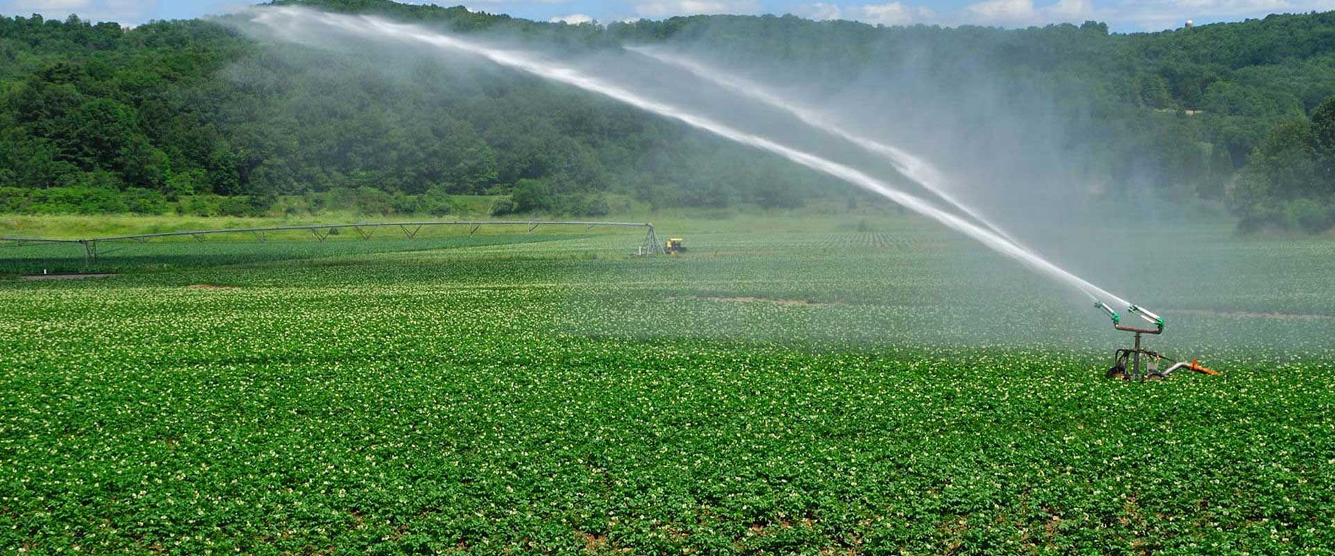 سیستم آبیاری تحت فشار در مزارع
